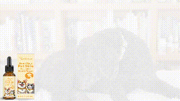 Pet Skin Repair Drops, Cat And Dog Skin Repair Hair Nutrition Massage Care Agent