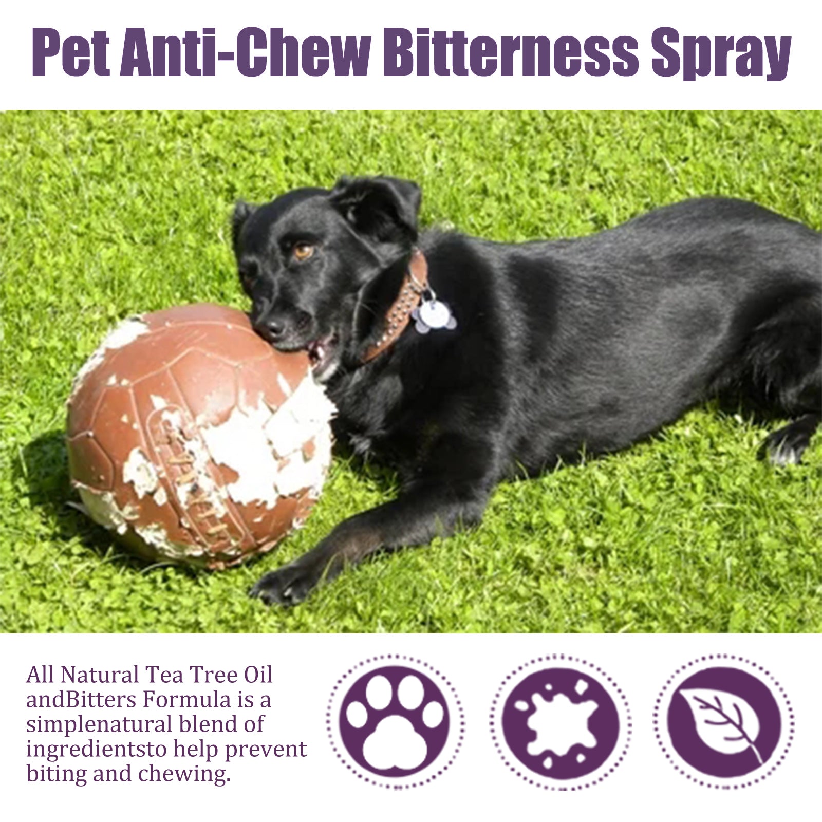 Anti-Chewing Bitter Spray For Pets, Prevent Dogs Tearing Apart Homes Scratching And Biting Long-Lasting Indoor Repellent Spray
