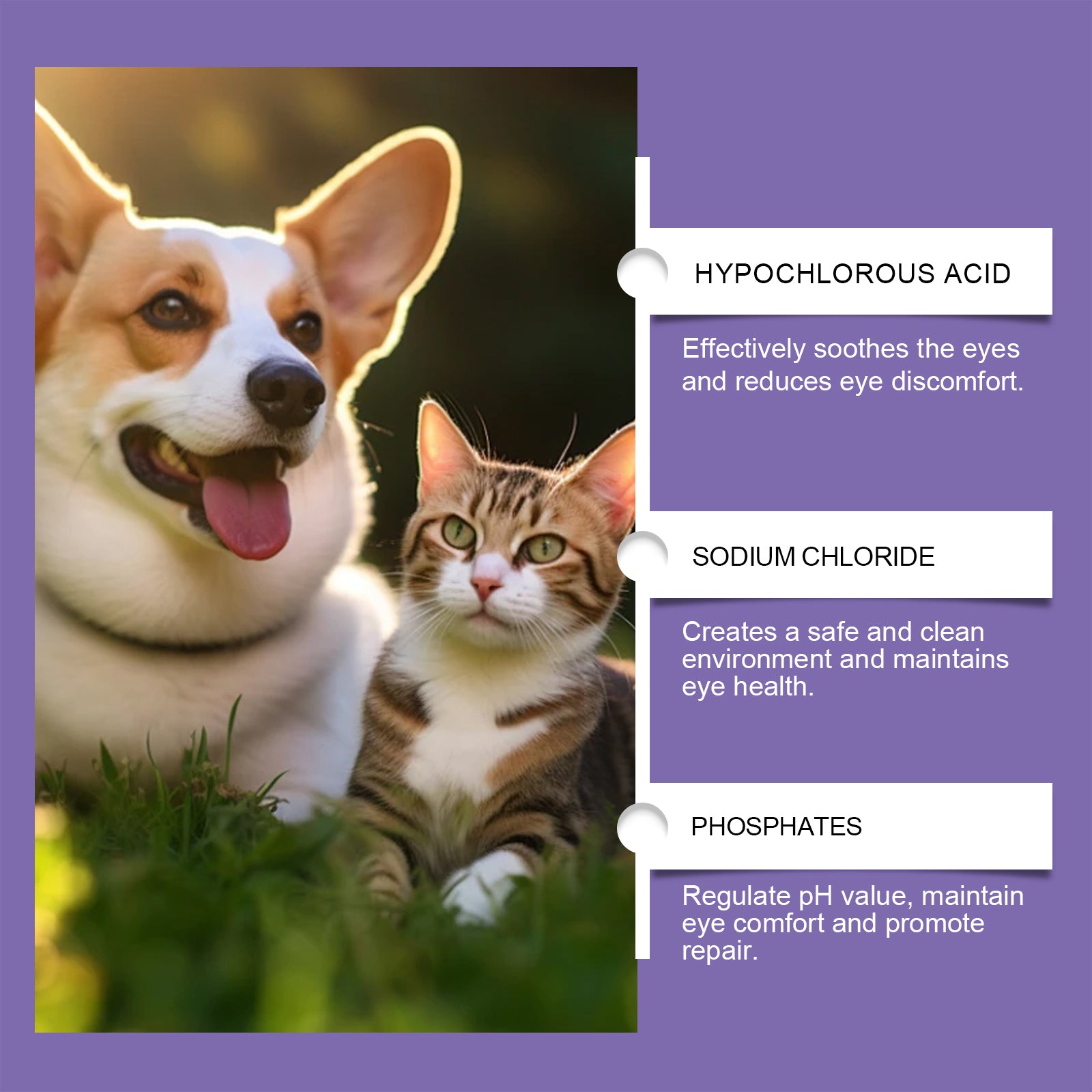 Pet Eye Care Spray Gently Cleans Tear-Stained Pet Eye Moisturizing Spray