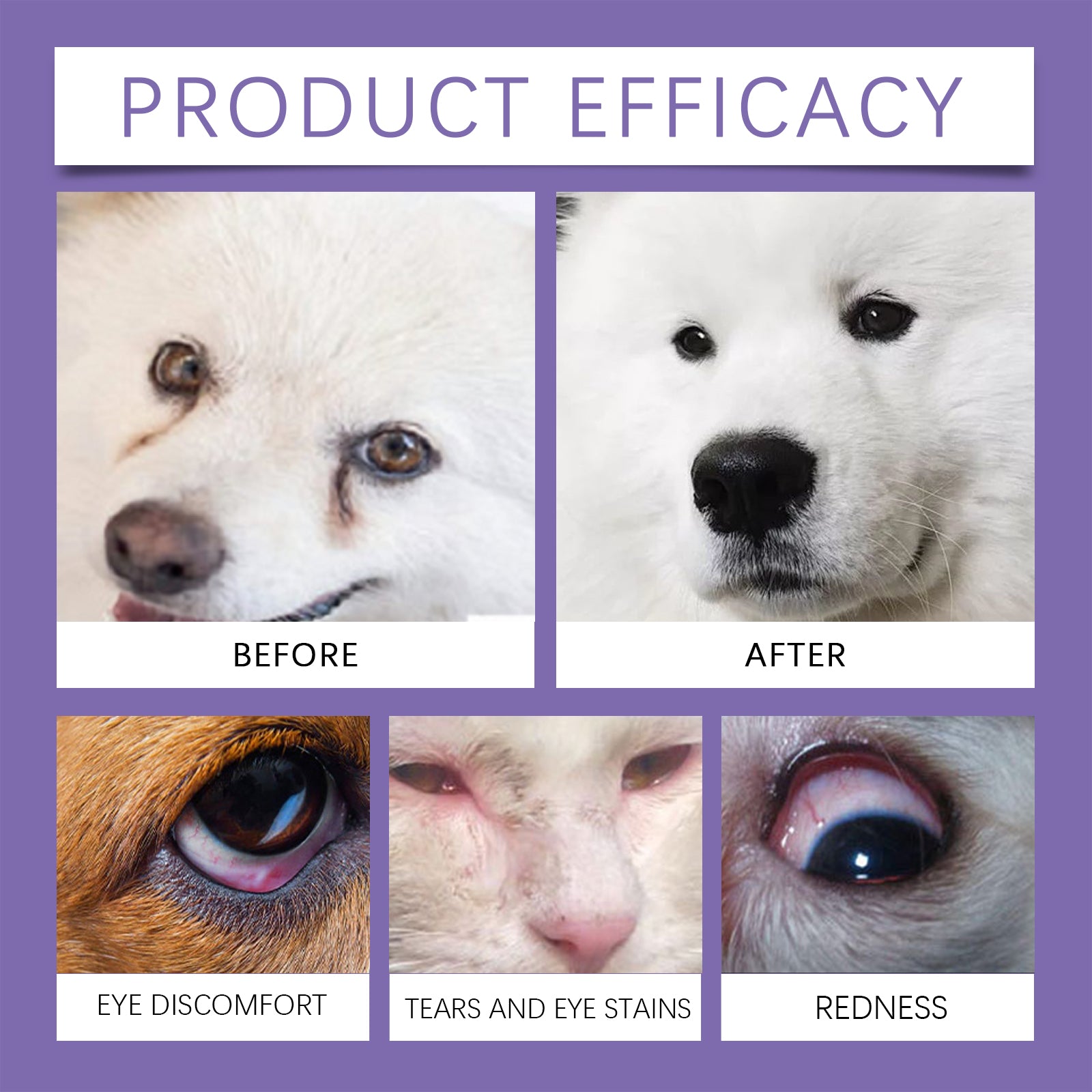 Pet Eye Care Spray Gently Cleans Tear-Stained Pet Eye Moisturizing Spray