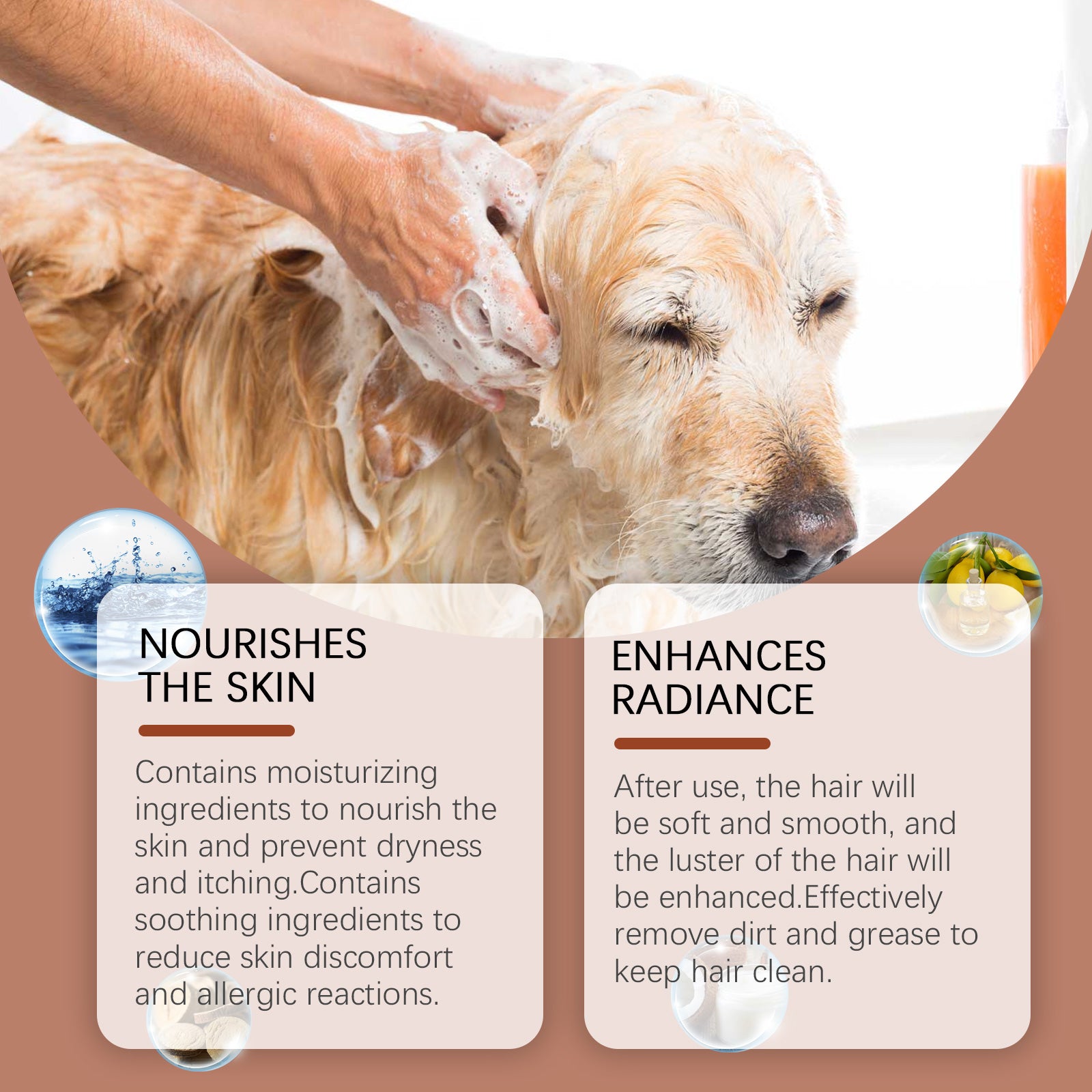 Odor Control Shampoo For Dogs Gently Cleans Pet Hair