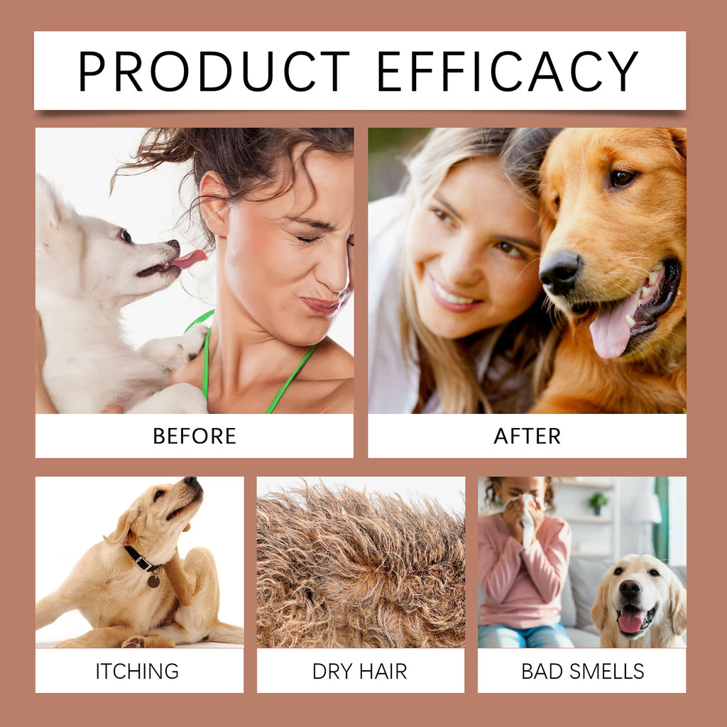 Odor Control Shampoo For Dogs Gently Cleans Pet Hair