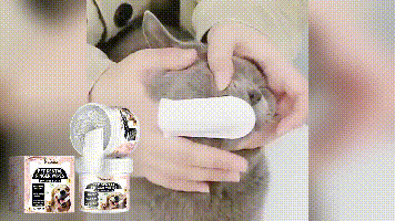 Pet Tooth Cleaning Fingerset Oral Teeth Gum Care Tartar Cleaning Pet Brushing Fingerset