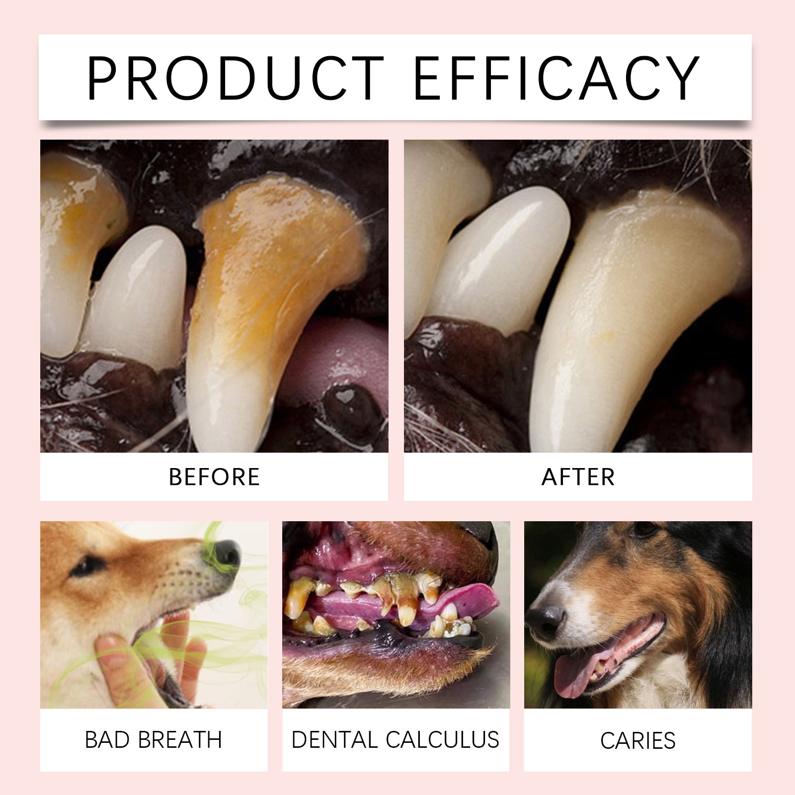 Pet Tooth Cleaning Fingerset Oral Teeth Gum Care Tartar Cleaning Pet Brushing Fingerset